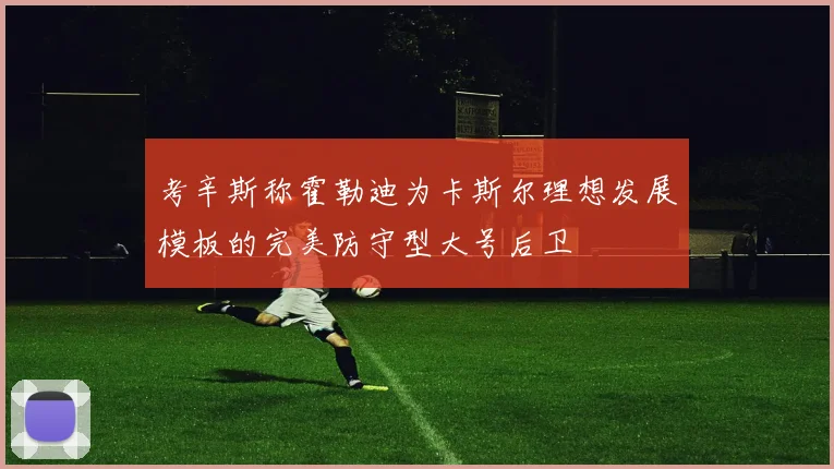 考辛斯称霍勒迪为卡斯尔理想发展模板的完美防守型大号后卫